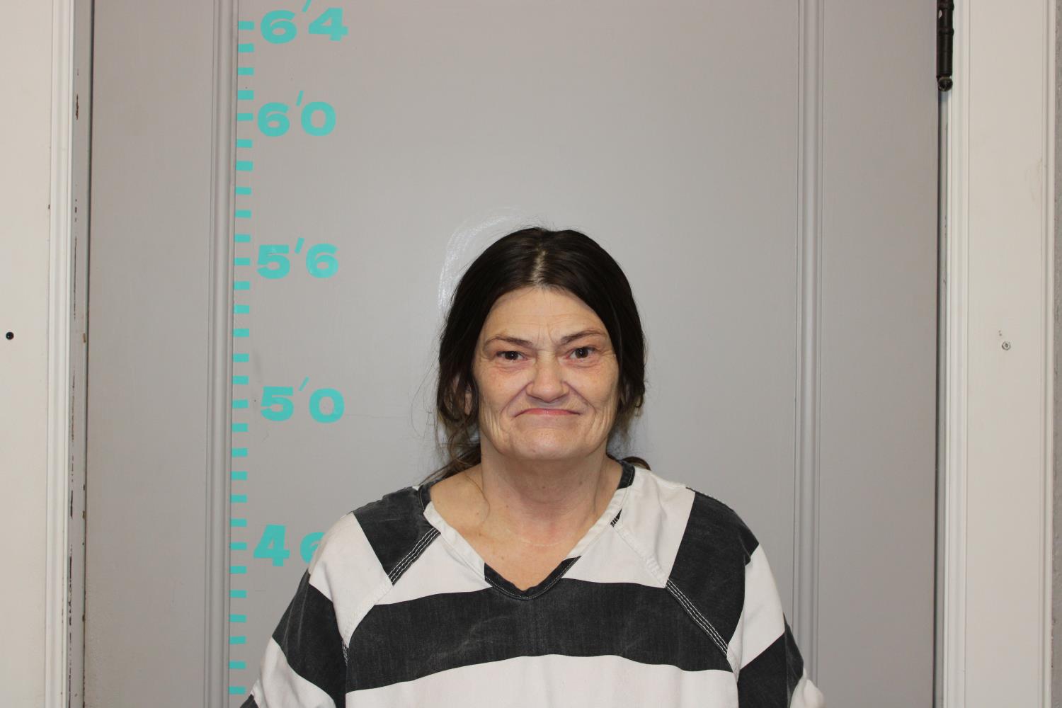 Sherri Smith mugshot