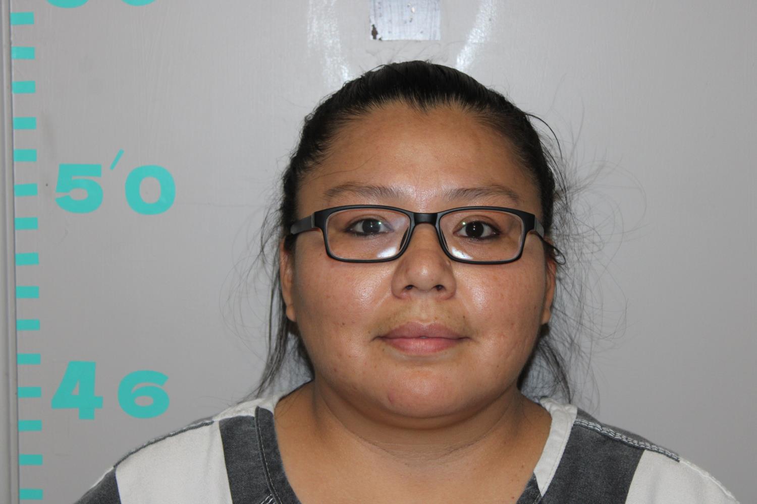 Victoria Lynn Oldbear mugshot