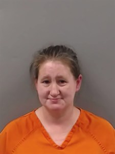 Lindsey Anne Cohen mugshot