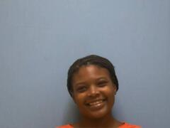 Iceland Nicole Sharkey mugshot