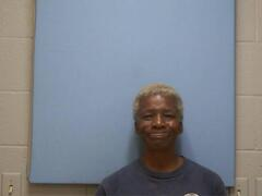 Linda C Stewart mugshot