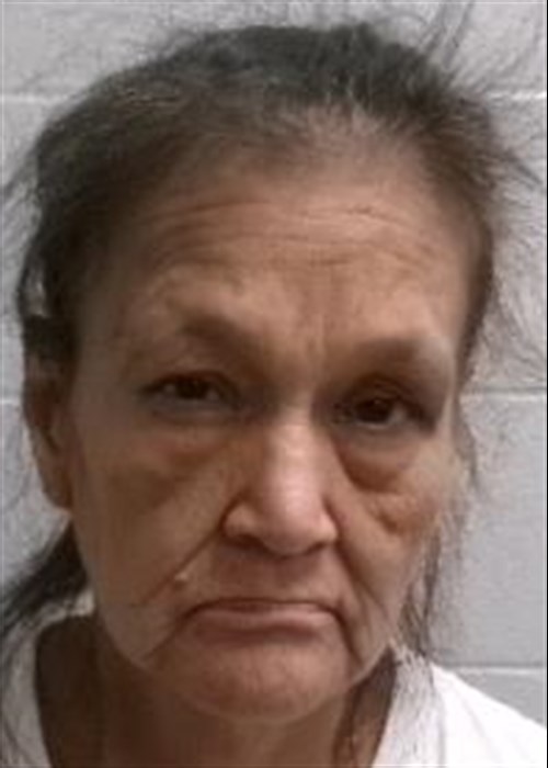 Elizabeth Mary Yahola mugshot