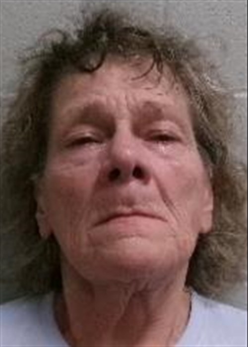 Teresa Anne Spires mugshot