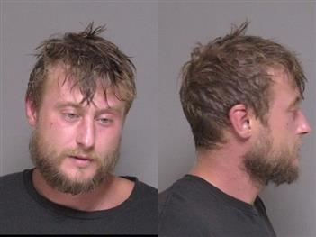 Joel Johnson mugshot