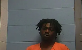 Zhyrien D Butler mugshot