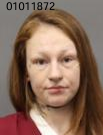 Allicia Noel Gronewold mugshot