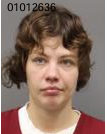 Skylar Lynne Ugstad mugshot