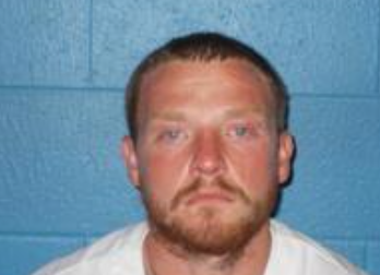 Brian E Mink mugshot
