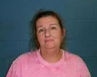 Christina L Adams mugshot