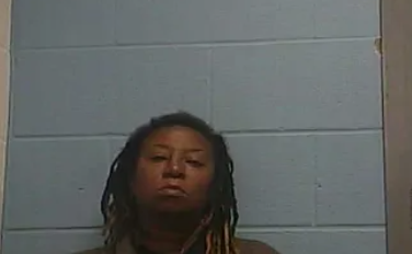 Darius M Holloway mugshot