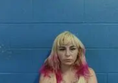 Jessica L Jackson mugshot