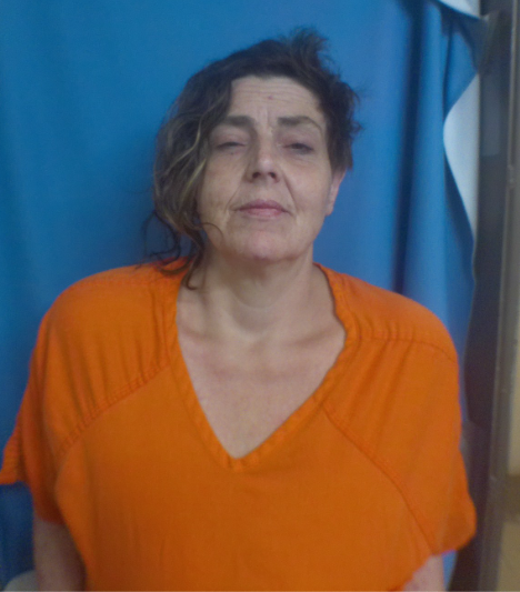 Melissa A Hartin mugshot