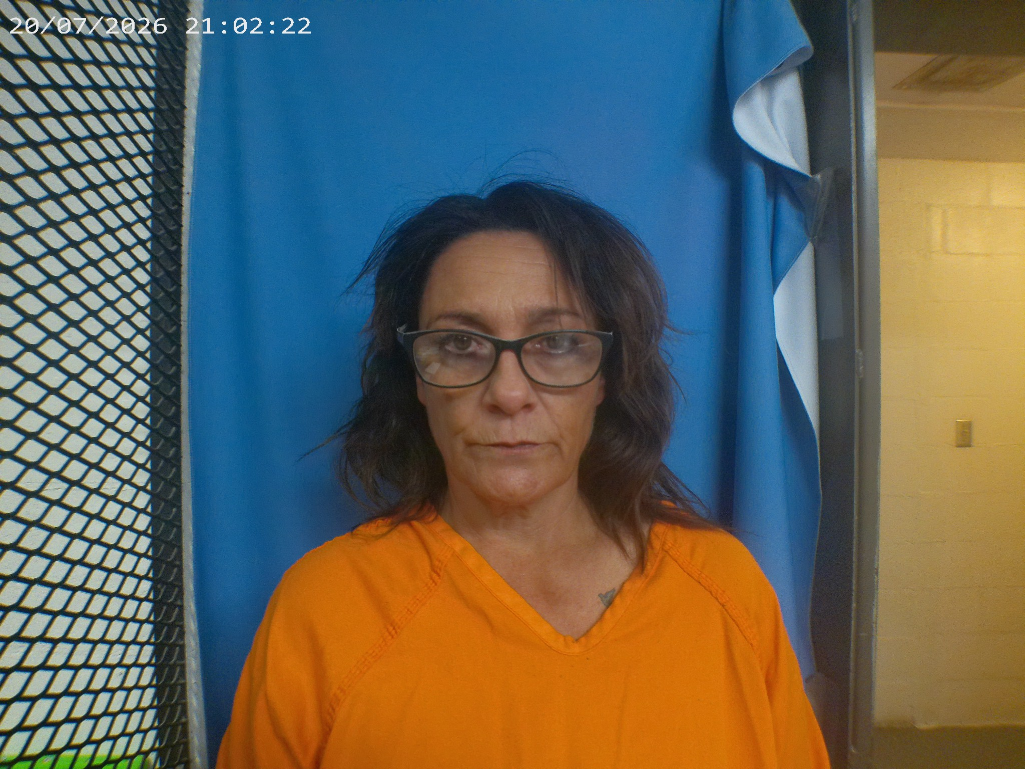 Nicole Hollamon mugshot