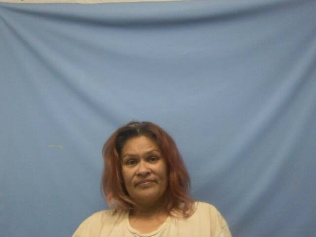 Patty Marie Pierce mugshot