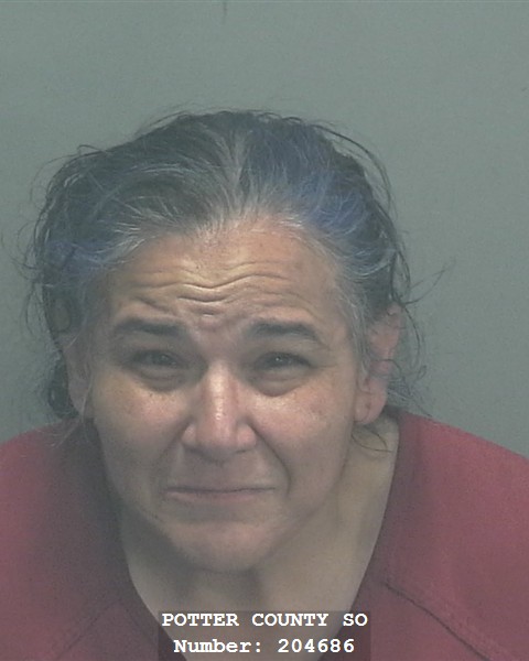 Elvina Ramirez mugshot