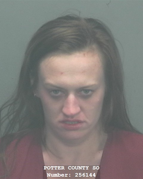 ALLISON BRYNN PAULA WILLIAMS mugshot