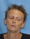 Michelle Scheibner mugshot