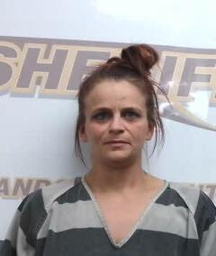 Ali Bradford mugshot