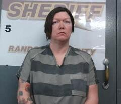 Amanda Patton mugshot