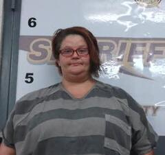 Kristen Lawson mugshot