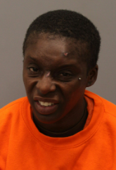 Christina Howard mugshot