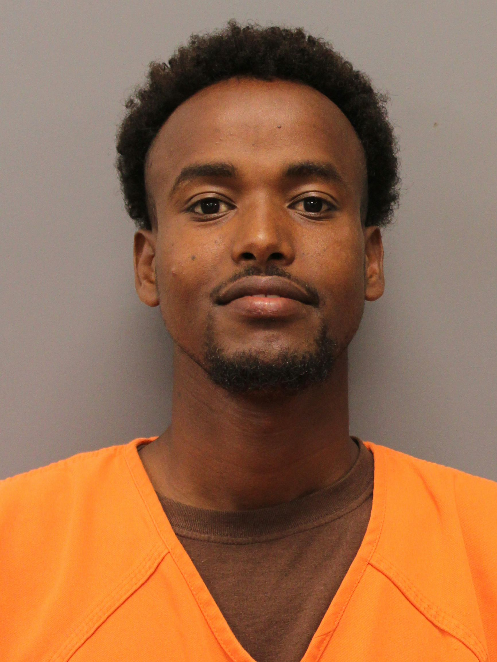 Nasredin Mohamed mugshot