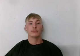 Daniel Gene Griffith mugshot