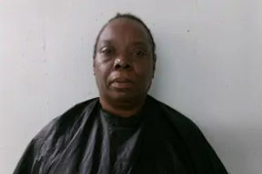 Virginia Ann Ferguson mugshot