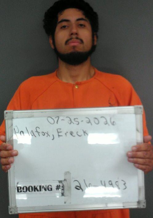 Ereck Gustavo Palafox mugshot