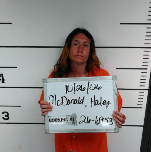 Haley Millchelle McDaniel mugshot