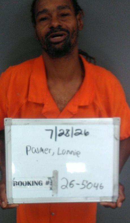 Lonnie Amour Palmer mugshot