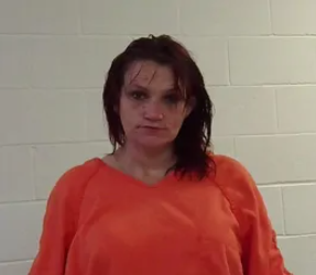 Amy Renee Davis mugshot