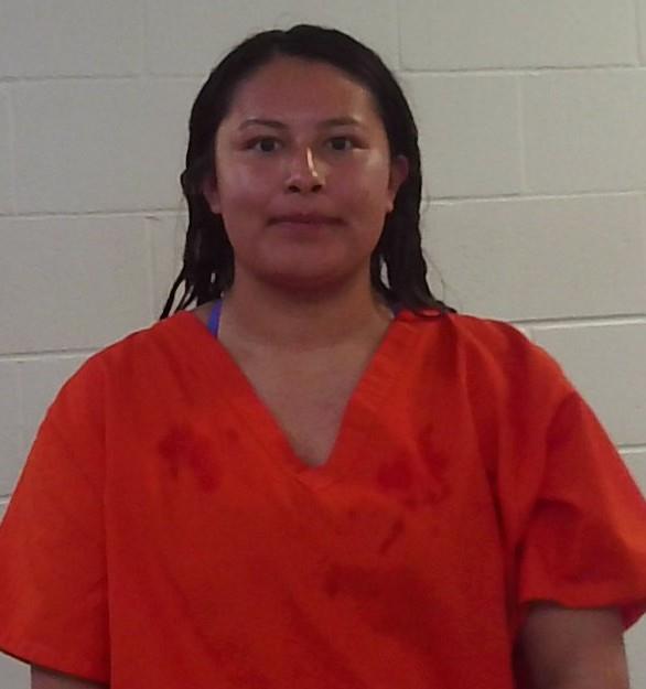 Mia Nicole Powell mugshot