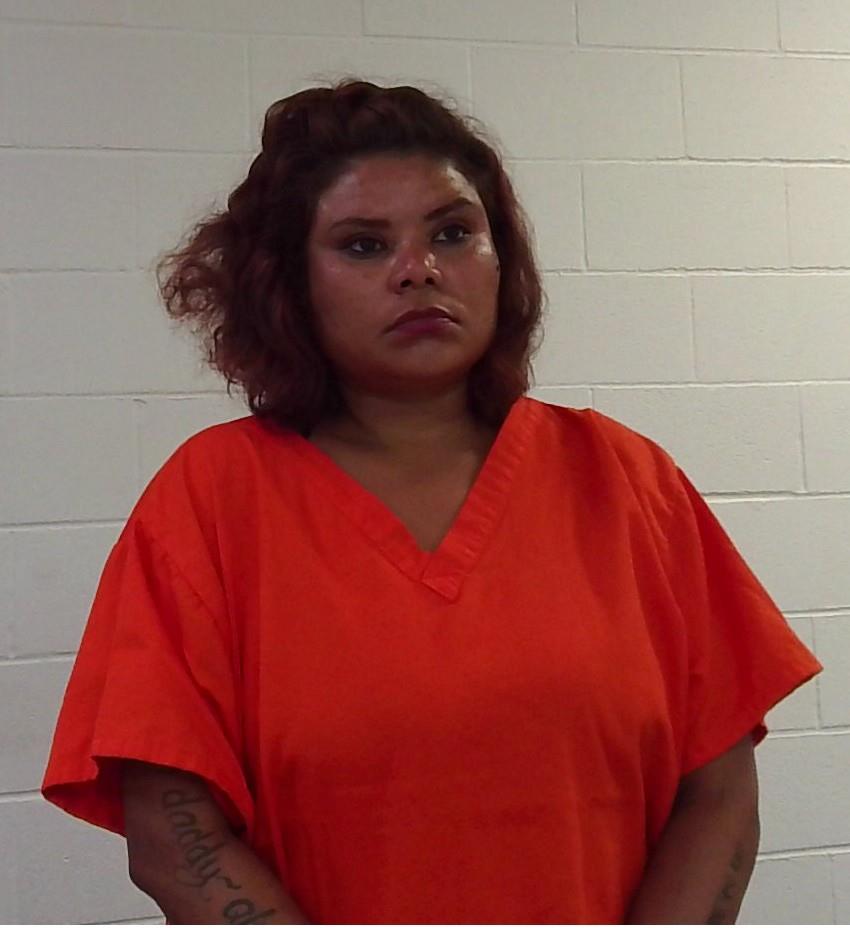 Sara Nichole Powell mugshot