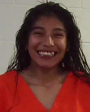 Terre Emarthle mugshot