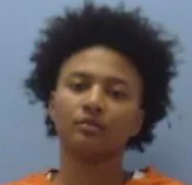 Atesa Johnson mugshot