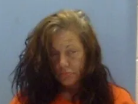 Robin Georgette Whisenhunt mugshot
