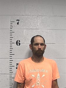 Brian Aaron Figgins mugshot