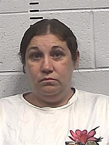 Lauren Elizabeth Ray mugshot