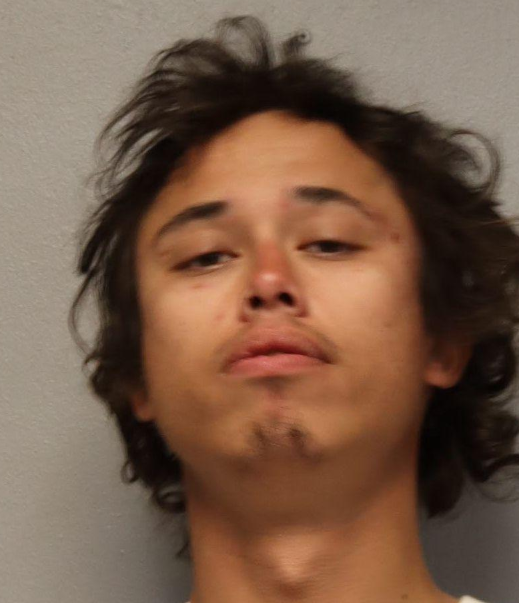 Michael James, Jr Hendrickson mugshot