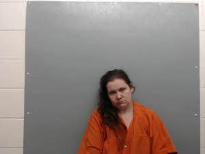 Ashley Briney mugshot