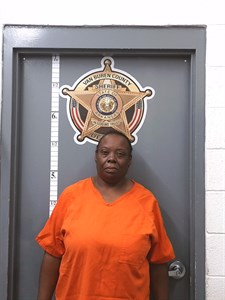 Virgina Ann Ferguson mugshot