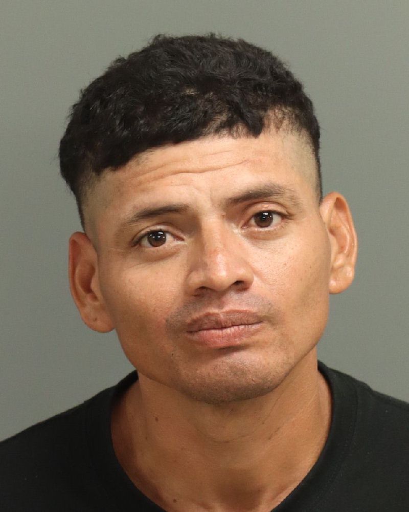 ALBERTO CARLOS ARAYA-RUIZ mugshot