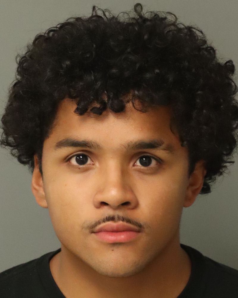 ALEX ORTEGA mugshot