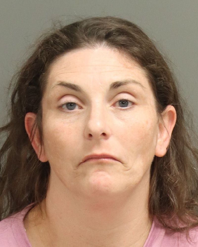AMANDA WRIGHT BRIDGERS mugshot