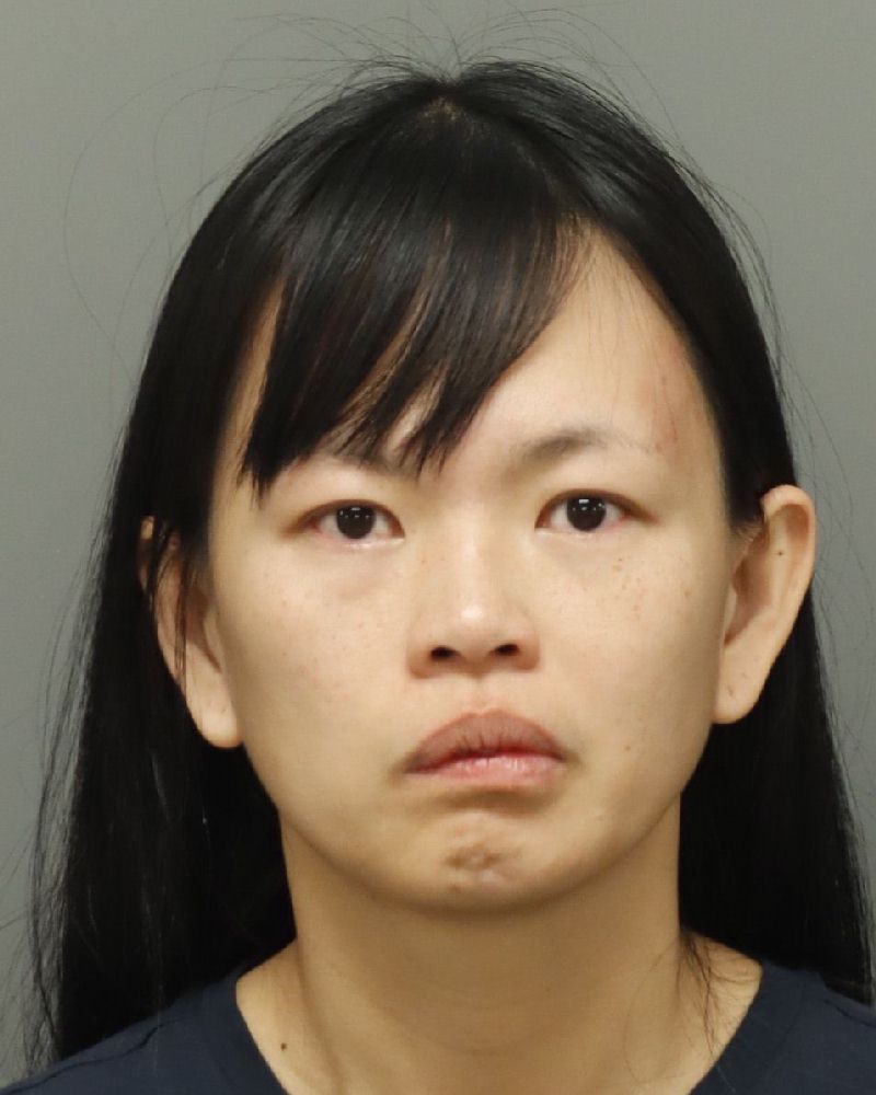CINDY EE FARRIOR mugshot