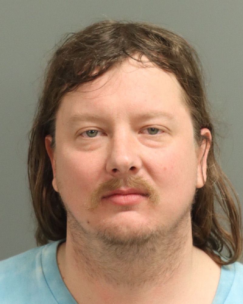 DANIEL WILLIAM STEED mugshot