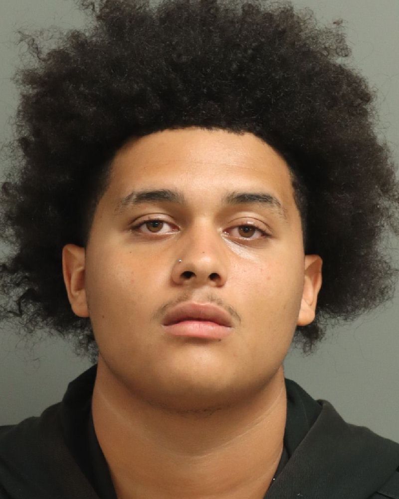 DIEGO ALBERTO RIJO mugshot