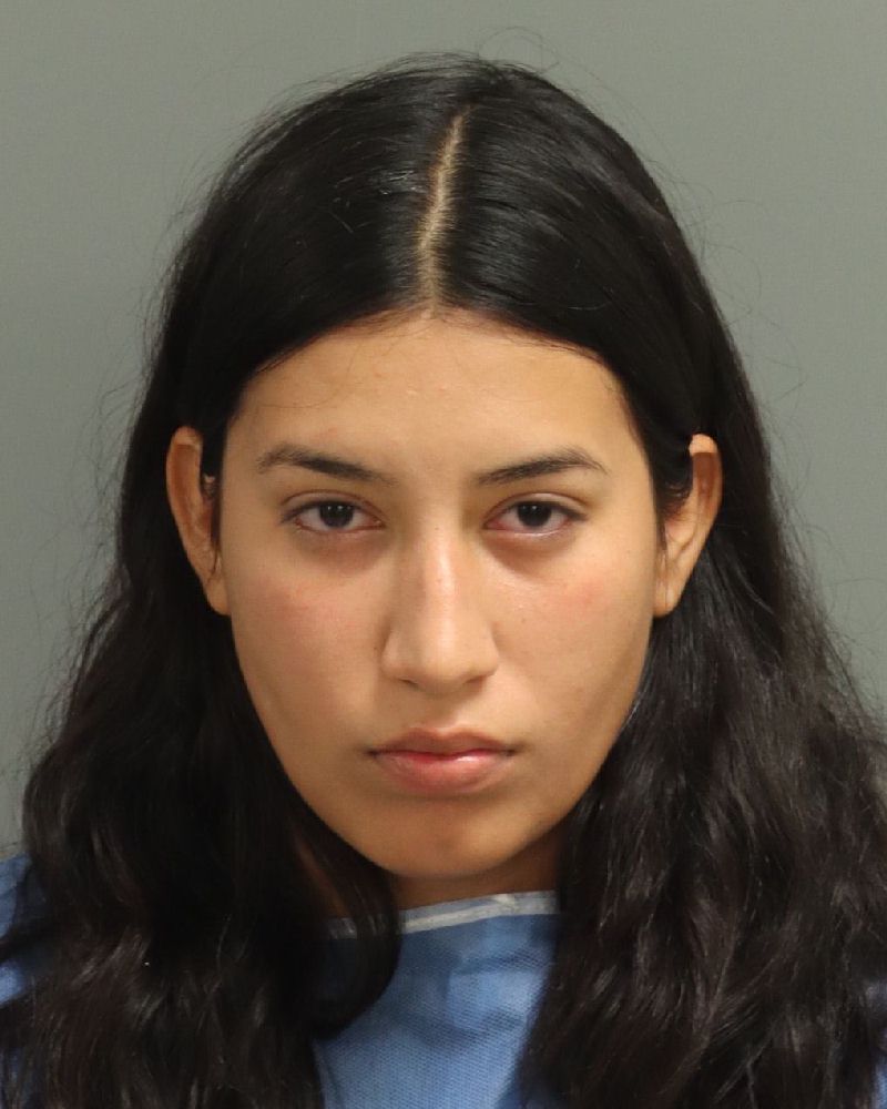 MARIA VIRGINIA PIRELA-NOCHES mugshot