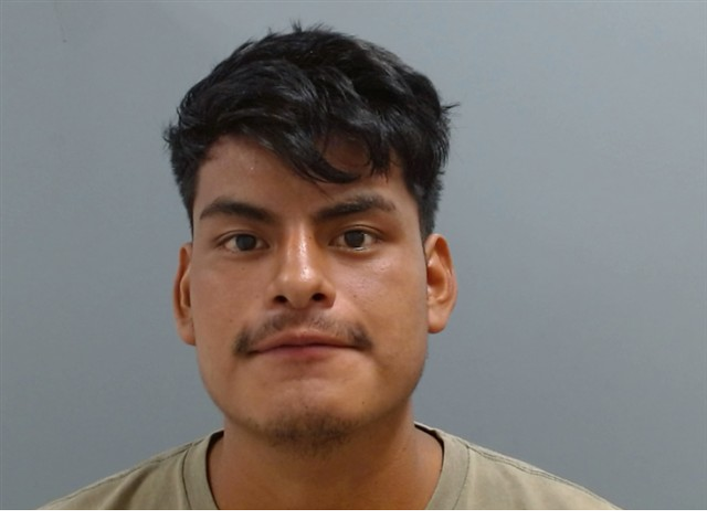 Aldani Anderson-Tomas mugshot